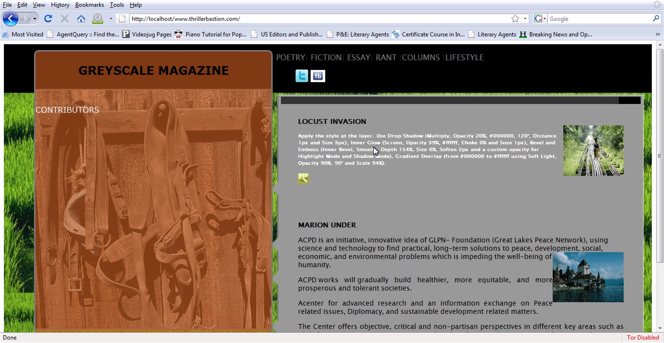 Greyscale Website Design